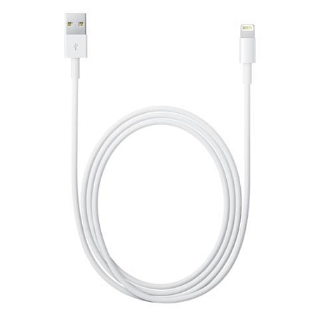 Apple Lightning to USB Cable 2m